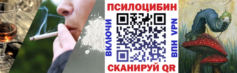 МЕГА tor  Алагир  Галлюциногенные грибы мухоморы  магазин продажи наркотиков 